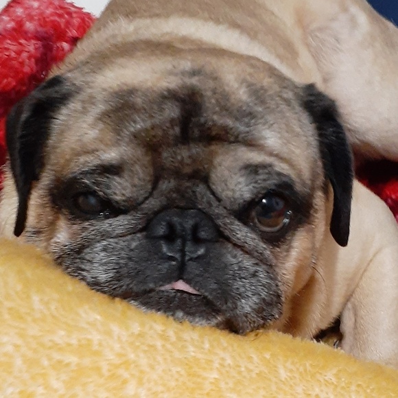 Meet your Posher, Kat - Picture 1 of 1